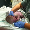 Introducing Abigail Johanna